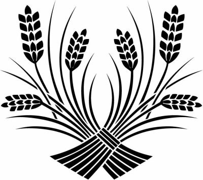 束ね違い稲・違い稲（１）