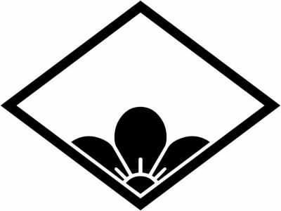 菱に覗き梅・菱に覗き梅の花