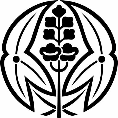 陰抱き沢瀉（２）