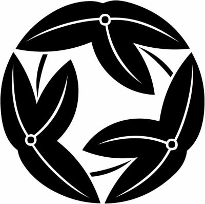 三つ追い葉沢瀉（２）