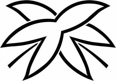 中陰違い葉沢瀉