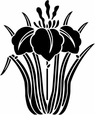 根引き立ち杜若