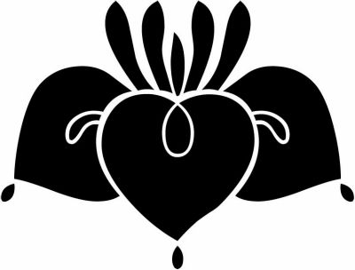 杜若の花・花杜若（１）