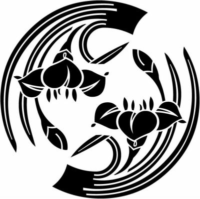 二つ杜若・二つ追い杜若（３）