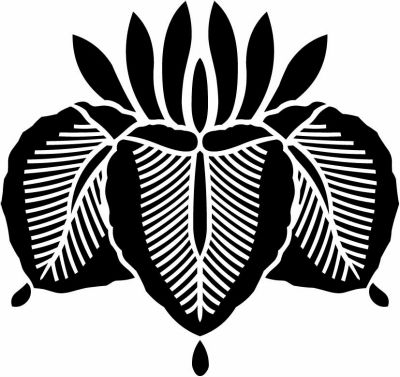 変わり杜若の花・変わり花杜若（１）