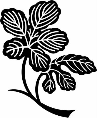 変わり枝梶の葉・変わり枝梶