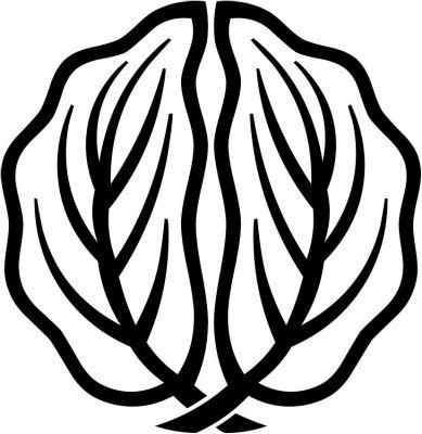 光琳中陰抱き柏