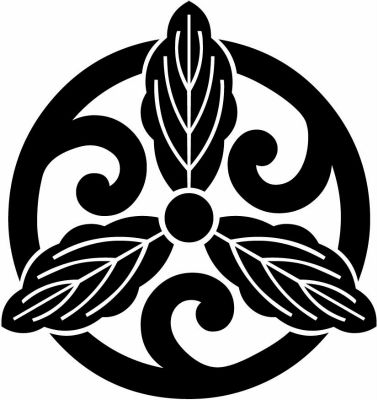 変わり五徳細柏