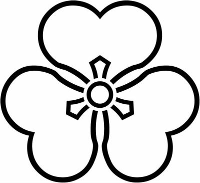 総陰片喰（２）