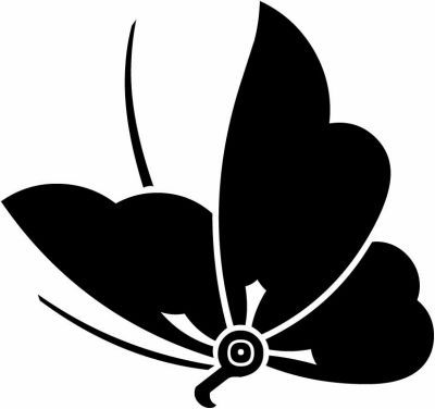 片喰飛び蝶（２）