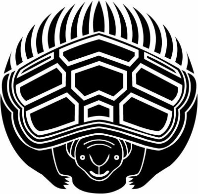 真向き亀（１）