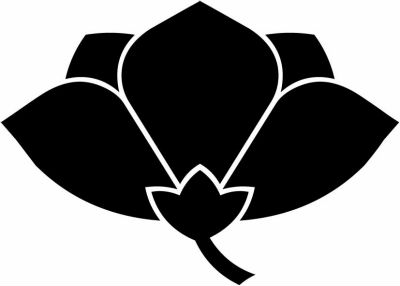 横見桔梗（１）