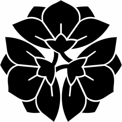 三つ横見桔梗（２）