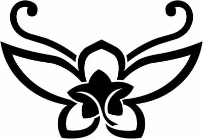 中陰裏桔梗胡蝶