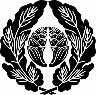 細抱き菊の葉に抱き茗荷