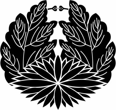 変わり杏葉菊（２）