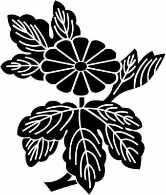 変わり枝菊（１）