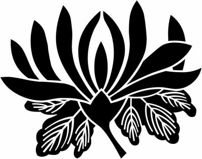 葉付き乱菊・葉付き横見乱菊