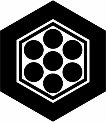 亀甲に七曜・亀甲に七つ星