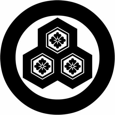 太丸に持ち合い三つ盛り亀甲に花角