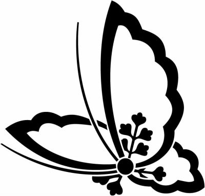 変わり中陰桐飛び蝶