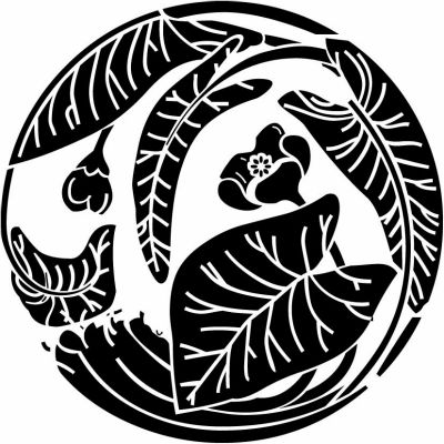 河骨枝丸（２）