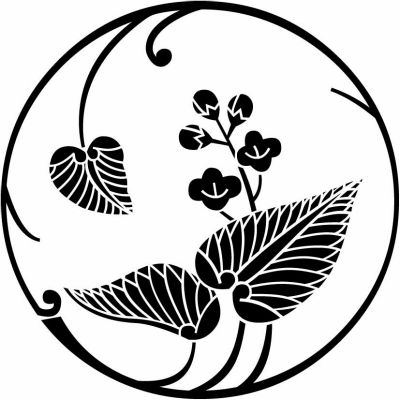 河骨枝丸（３）