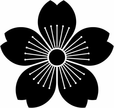 向こう山桜（２）