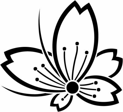 中陰飛び桜蝶・中陰変わり飛び桜蝶（２）