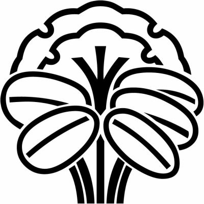 中陰二重雪持ち熊笹