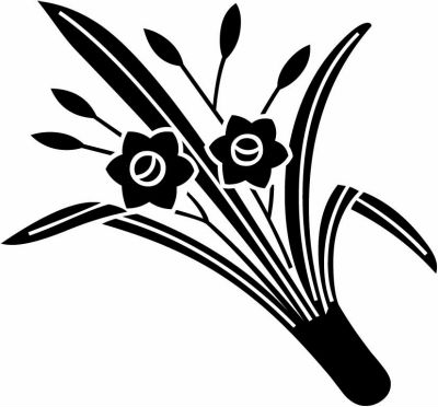 根引き水仙（３）