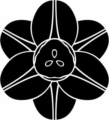 変わり水仙の花