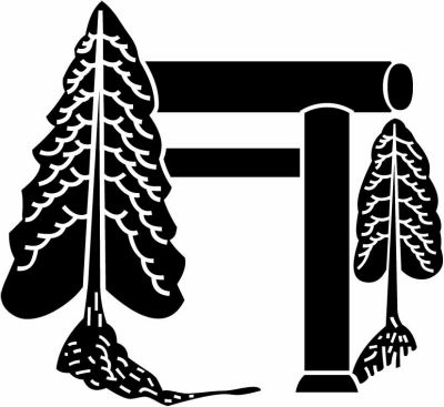 社頭杉・社頭の杉（２）