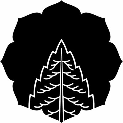 社頭杉・社頭の杉（３）