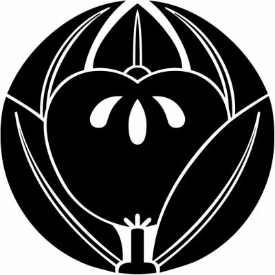 光琳葉敷き橘（２）