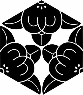 六角形三つ割り橘