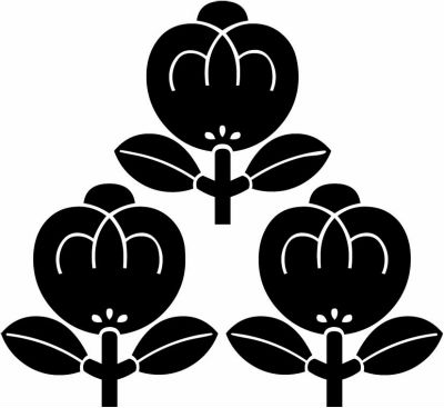 三つ盛り茶の実