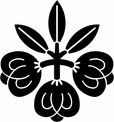 茶の実桐（１）