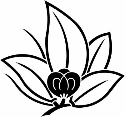 葉陰揚羽茶の実蝶