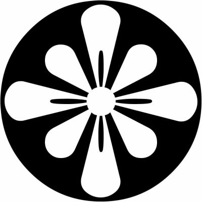 石持ち地抜き梨の切り口（１）