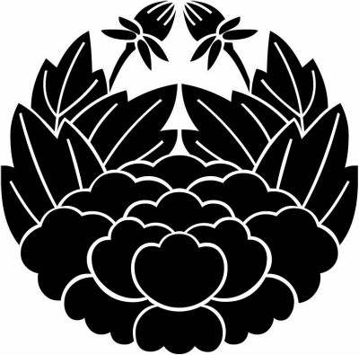 変わり杏葉牡丹（２）