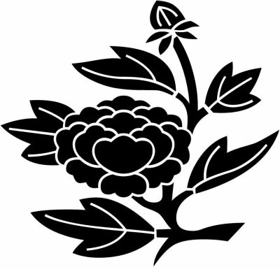 変わり枝牡丹（３）