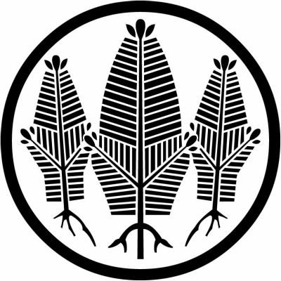 細輪に三つ根付き若松