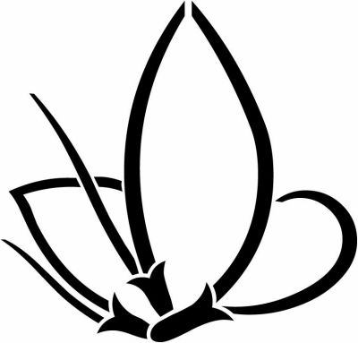 変わり松葉蝶（１）