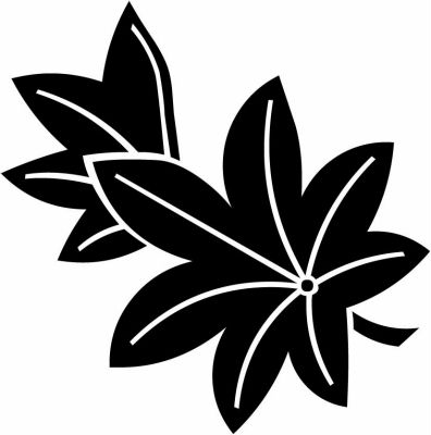 散り楓・二つ葉楓・二葉楓