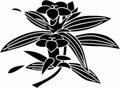 桑名松平百合・桑名松平家百合