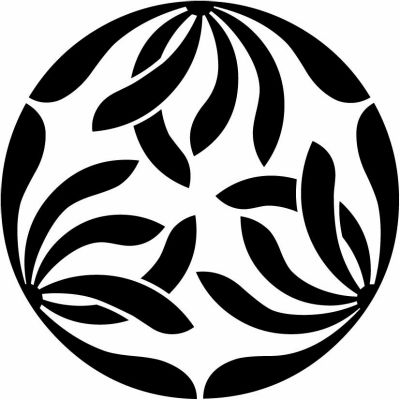 変わり三つ割り蘭