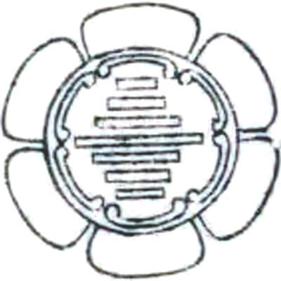 相良瓜・六つ瓜に七つ引き