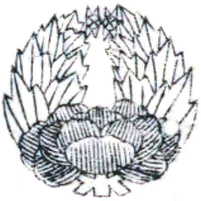 津軽牡丹（１）