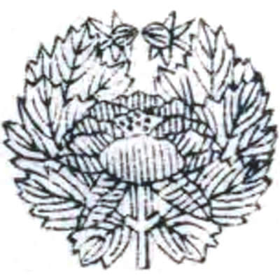 津軽牡丹（２）